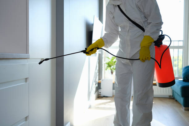 Mold Remediation for Rental Properties in Dansville, NY